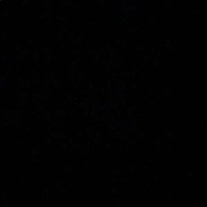 Meet your Posher, Kendall